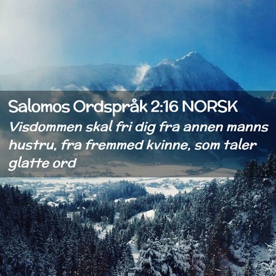 Picture 02 - Salomos Ordspråk 2:16 NORSK - Visdommen skal fri dig fra annen manns hustru, - Bible Verse Picture