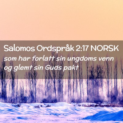 Picture 02 - Salomos Ordspråk 2:17 NORSK - som har forlatt sin ungdoms venn og glemt sin - Bible Verse Picture