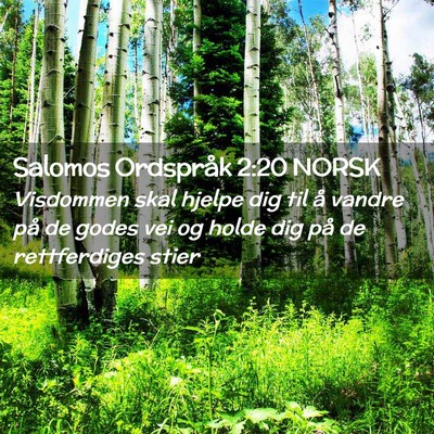 Picture 02 - Salomos Ordspråk 2:20 NORSK - Visdommen skal hjelpe dig til å vandre på de - Bible Verse Picture