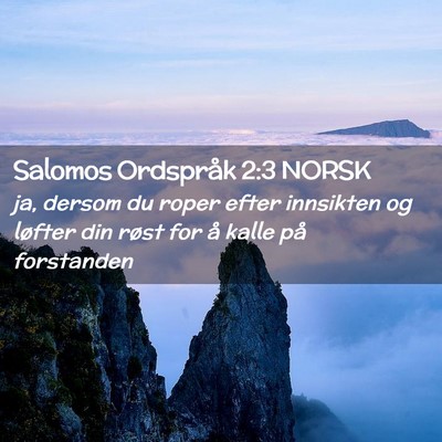 Picture 02 - Salomos Ordspråk 2:3 NORSK - ja, dersom du roper efter innsikten og løfter - Bible Verse Picture