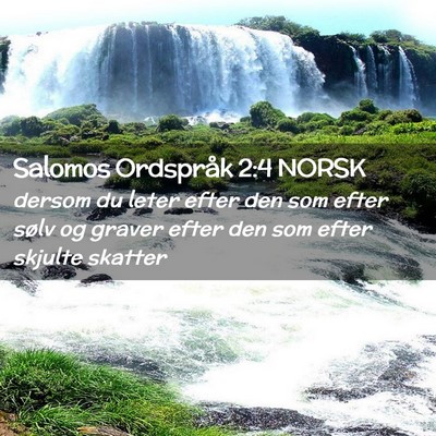 Picture 02 - Salomos Ordspråk 2:4 NORSK - dersom du leter efter den som efter sølv og - Bible Verse Picture