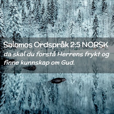 Picture 02 - Salomos Ordspråk 2:5 NORSK - da skal du forstå Herrens frykt og finne - Bible Verse Picture