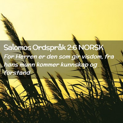 Picture 02 - Salomos Ordspråk 2:6 NORSK - For Herren er den som gir visdom, fra hans munn - Bible Verse Picture