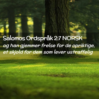 Picture 02 - Salomos Ordspråk 2:7 NORSK - og han gjemmer frelse for de opriktige, et skjold - Bible Verse Picture