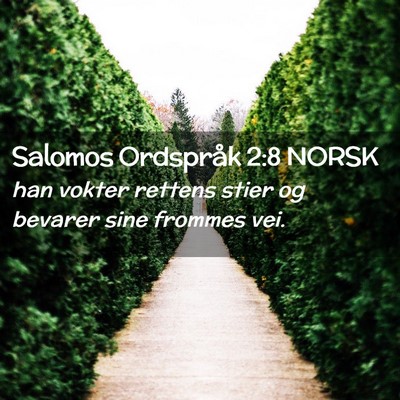 Picture 02 - Salomos Ordspråk 2:8 NORSK - han vokter rettens stier og bevarer sine frommes - Bible Verse Picture