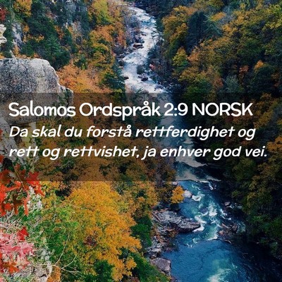Picture 02 - Salomos Ordspråk 2:9 NORSK - Da skal du forstå rettferdighet og rett og - Bible Verse Picture
