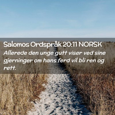 Picture 02 - Salomos Ordspråk 20:11 NORSK - Allerede den unge gutt viser ved sine gjerninger - Bible Verse Picture