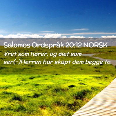 Picture 02 - Salomos Ordspråk 20:12 NORSK - ¥ret som hører, og øiet som ser(-)Herren har - Bible Verse Picture