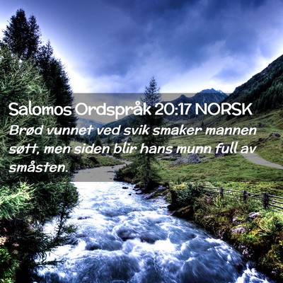Picture 02 - Salomos Ordspråk 20:17 NORSK - Brød vunnet ved svik smaker mannen søtt, men - Bible Verse Picture