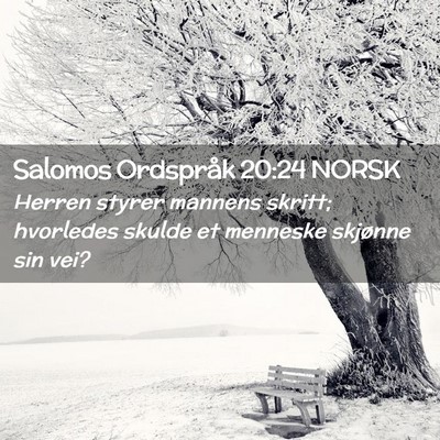 Picture 02 - Salomos Ordspråk 20:24 NORSK - Herren styrer mannens skritt; hvorledes skulde et - Bible Verse Picture