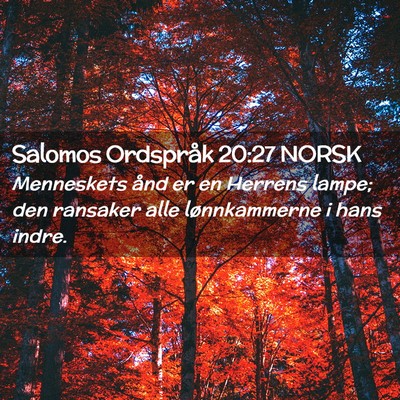 Picture 02 - Salomos Ordspråk 20:27 NORSK - Menneskets ånd er en Herrens lampe; den ransaker - Bible Verse Picture