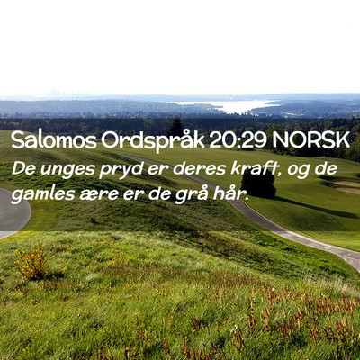 Picture 02 - Salomos Ordspråk 20:29 NORSK - De unges pryd er deres kraft, og de gamles ære - Bible Verse Picture
