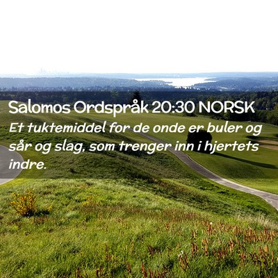 Picture 02 - Salomos Ordspråk 20:30 NORSK - Et tuktemiddel for de onde er buler og sår og - Bible Verse Picture