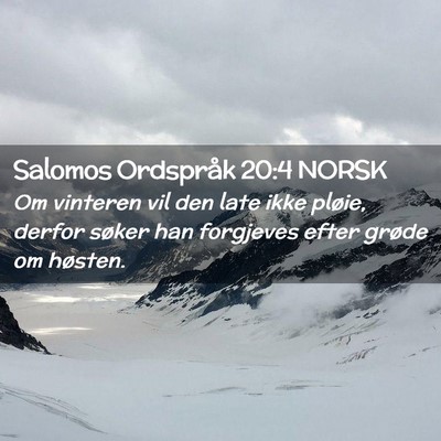 Picture 02 - Salomos Ordspråk 20:4 NORSK - Om vinteren vil den late ikke pløie, derfor - Bible Verse Picture