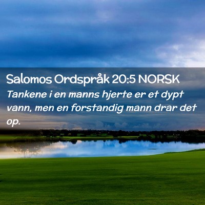 Picture 02 - Salomos Ordspråk 20:5 NORSK - Tankene i en manns hjerte er et dypt vann, men en - Bible Verse Picture