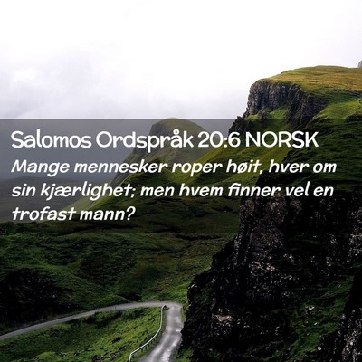 Picture 02 - Salomos Ordspråk 20:6 NORSK - Mange mennesker roper høit, hver om sin - Bible Verse Picture