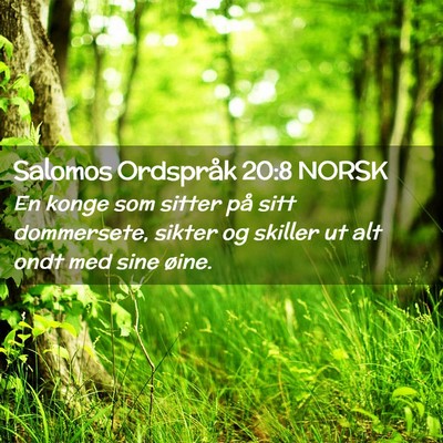 Picture 02 - Salomos Ordspråk 20:8 NORSK - En konge som sitter på sitt dommersete, sikter - Bible Verse Picture