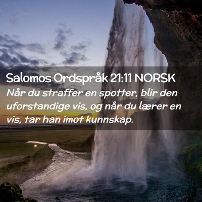 Picture 02 - Salomos Ordspråk 21:11 NORSK - Når du straffer en spotter, blir den - Bible Verse Picture