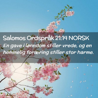 Picture 02 - Salomos Ordspråk 21:14 NORSK - En gave i lønndom stiller vrede, og en hemmelig - Bible Verse Picture