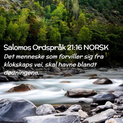 Picture 02 - Salomos Ordspråk 21:16 NORSK - Det menneske som forviller sig fra klokskaps vei, - Bible Verse Picture