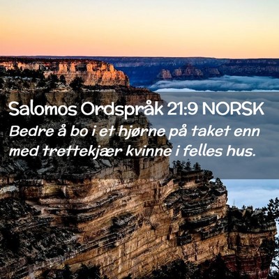 Picture 02 - Salomos Ordspråk 21:9 NORSK - Bedre å bo i et hjørne på taket enn med - Bible Verse Picture