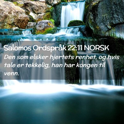 Picture 02 - Salomos Ordspråk 22:11 NORSK - Den som elsker hjertets renhet, og hvis tale er - Bible Verse Picture