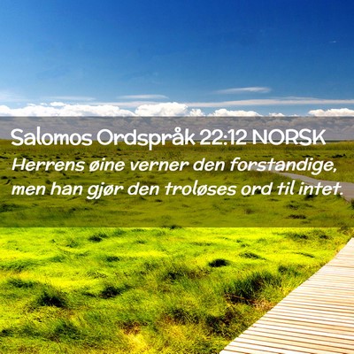Picture 02 - Salomos Ordspråk 22:12 NORSK - Herrens øine verner den forstandige, men han - Bible Verse Picture