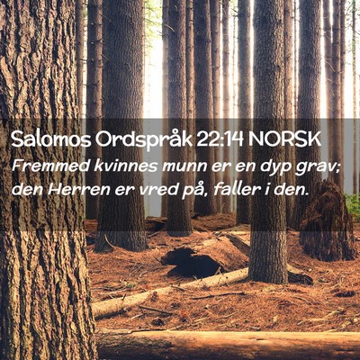 Picture 02 - Salomos Ordspråk 22:14 NORSK - Fremmed kvinnes munn er en dyp grav; den Herren - Bible Verse Picture