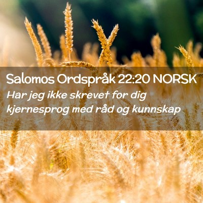 Picture 02 - Salomos Ordspråk 22:20 NORSK - Har jeg ikke skrevet for dig kjernesprog med råd - Bible Verse Picture