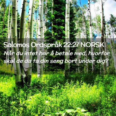 Picture 02 - Salomos Ordspråk 22:27 NORSK - Når du intet har å betale med, hvorfor skal de - Bible Verse Picture
