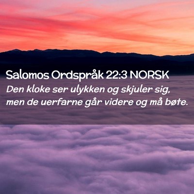 Picture 02 - Salomos Ordspråk 22:3 NORSK - Den kloke ser ulykken og skjuler sig, men de - Bible Verse Picture