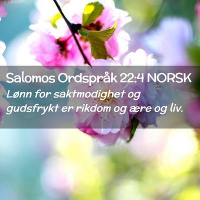 Picture 02 - Salomos Ordspråk 22:4 NORSK - Lønn for saktmodighet og gudsfrykt er rikdom og - Bible Verse Picture