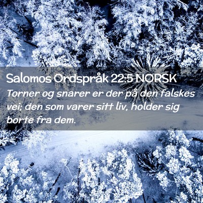 Picture 02 - Salomos Ordspråk 22:5 NORSK - Torner og snarer er der på den falskes vei; den - Bible Verse Picture