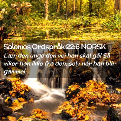 Picture 02 - Salomos Ordspråk 22:6 NORSK - Lær den unge den vei han skal gå! Så viker han - Bible Verse Picture