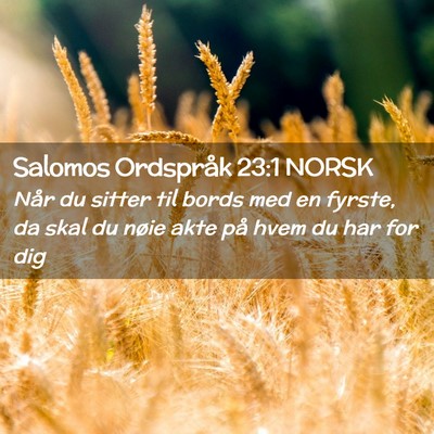 Picture 02 - Salomos Ordspråk 23:1 NORSK - Når du sitter til bords med en fyrste, da skal - Bible Verse Picture