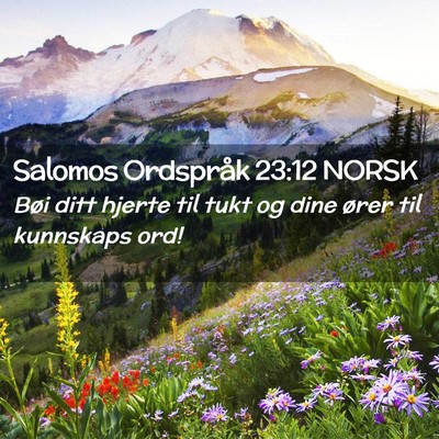Picture 02 - Salomos Ordspråk 23:12 NORSK - Bøi ditt hjerte til tukt og dine ører til - Bible Verse Picture
