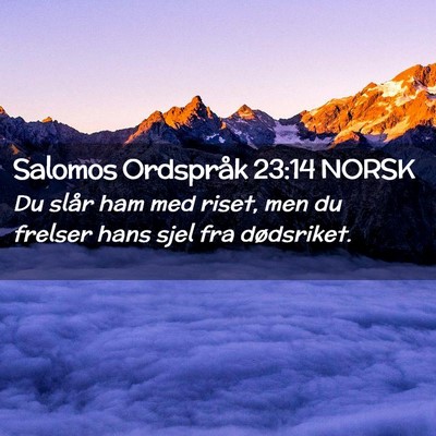 Picture 02 - Salomos Ordspråk 23:14 NORSK - Du slår ham med riset, men du frelser hans sjel - Bible Verse Picture