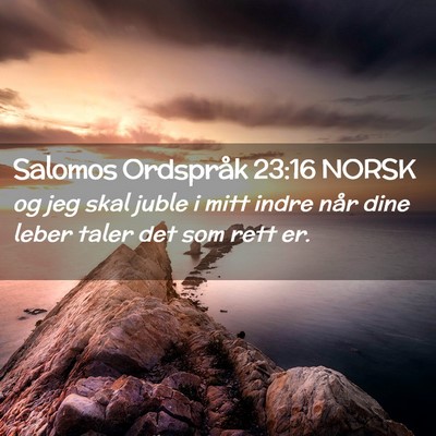 Picture 02 - Salomos Ordspråk 23:16 NORSK - og jeg skal juble i mitt indre når dine leber - Bible Verse Picture