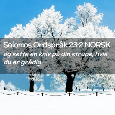 Picture 02 - Salomos Ordspråk 23:2 NORSK - og sette en kniv på din strupe, hvis du er - Bible Verse Picture