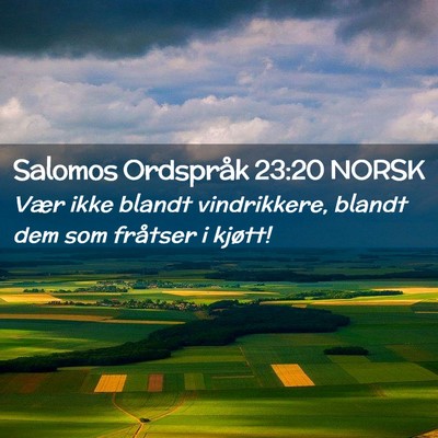 Picture 02 - Salomos Ordspråk 23:20 NORSK - Vær ikke blandt vindrikkere, blandt dem som - Bible Verse Picture