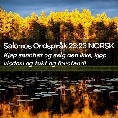 Picture 02 - Salomos Ordspråk 23:23 NORSK - Kjøp sannhet og selg den ikke, kjøp visdom og - Bible Verse Picture