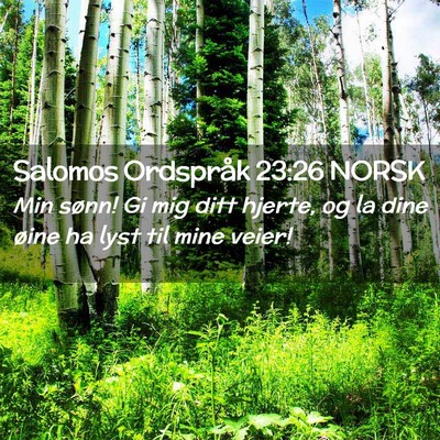 Picture 02 - Salomos Ordspråk 23:26 NORSK - Min sønn! Gi mig ditt hjerte, og la dine øine - Bible Verse Picture