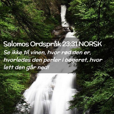 Picture 02 - Salomos Ordspråk 23:31 NORSK - Se ikke til vinen, hvor rød den er, hvorledes - Bible Verse Picture