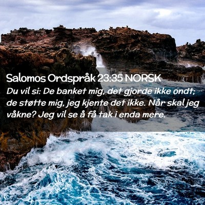 Picture 02 - Salomos Ordspråk 23:35 NORSK - Du vil si: De banket mig, det gjorde ikke ondt; - Bible Verse Picture