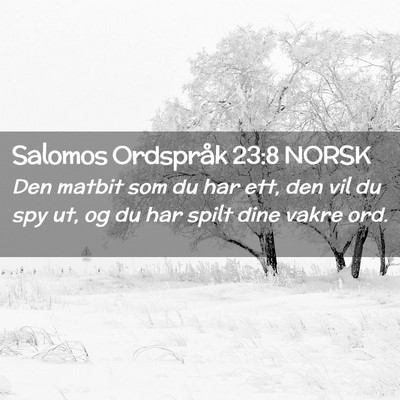 Picture 02 - Salomos Ordspråk 23:8 NORSK - Den matbit som du har ett, den vil du spy ut, og - Bible Verse Picture