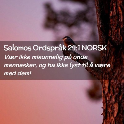Picture 02 - Salomos Ordspråk 24:1 NORSK - Vær ikke misunnelig på onde mennesker, og ha - Bible Verse Picture