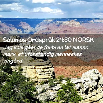 Picture 02 - Salomos Ordspråk 24:30 NORSK - Jeg kom gående forbi en lat manns mark, et - Bible Verse Picture