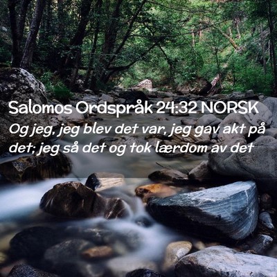 Picture 02 - Salomos Ordspråk 24:32 NORSK - Og jeg, jeg blev det var, jeg gav akt på det; - Bible Verse Picture