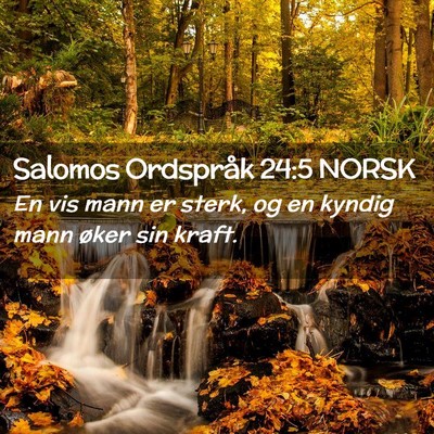 Picture 02 - Salomos Ordspråk 24:5 NORSK - En vis mann er sterk, og en kyndig mann øker sin - Bible Verse Picture