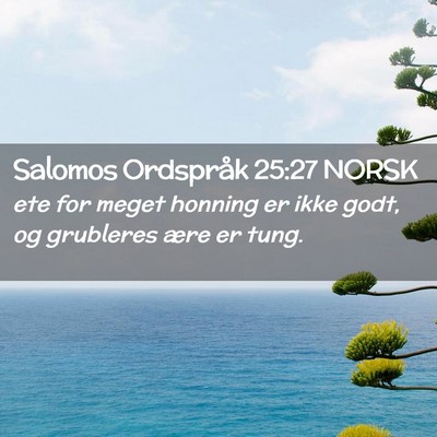 Picture 02 - Salomos Ordspråk 25:27 NORSK - ete for meget honning er ikke godt, og grubleres - Bible Verse Picture